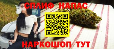 прущие грибы Можга