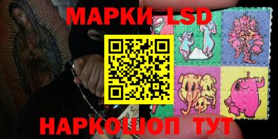 прущие грибы Можга