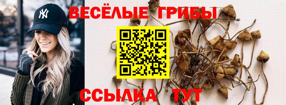 Богородицк  Псилоцибиновые грибы Magic Shrooms  Галлюциногенные грибы MAGIC MUSHROOMS  Вход с VPN 