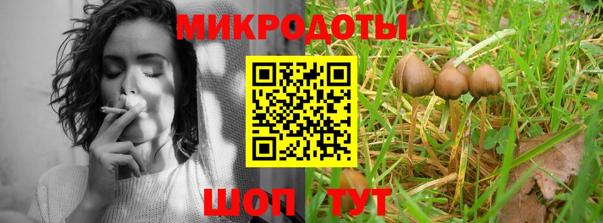 Псилоцибиновые грибы Magic Shrooms Богородицк